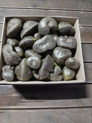 이장우님의 자유주제 · 자유게시판 작성글 사진