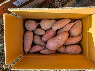 조순귀창원성산구사파님의 자유주제 · 자유게시판 작성글 사진