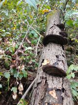 팜모닝 자유주제·자유게시판 게시글 이미지