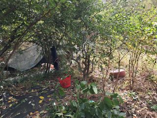 시금치6781님의 자유주제 · 자유게시판 작성글 사진