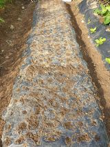 팜모닝 자유주제·자유게시판 게시글 이미지