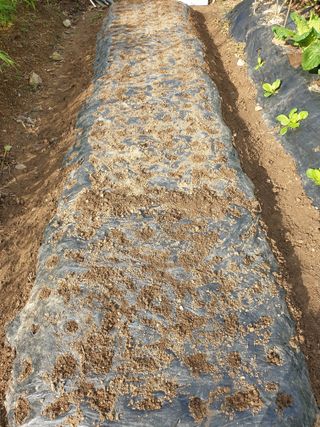 서봉열님의 자유주제 · 자유게시판 작성글 사진