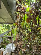 팜모닝 자유주제·자유게시판 게시글 이미지