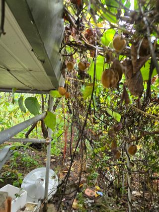 장지영님의 자유주제 · 자유게시판 작성글 사진