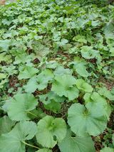 팜모닝 자유주제·자유게시판 게시글 이미지