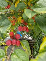 팜모닝 자유주제·자유게시판 게시글 이미지