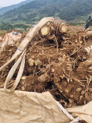 이호성님의 자유주제 · 자유게시판 작성글 사진