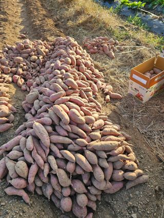 조순귀창원성산구사파님의 자유주제 · 자유게시판 작성글 사진