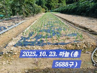 박성민님의 자유주제 · 자유게시판 작성글 사진