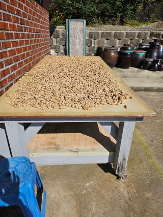 충남공주이도은님의 자유주제 · 자유게시판 작성글 사진