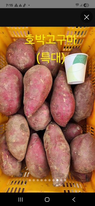 운길산님의 자유주제 · 건의해요 작성글 사진