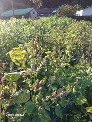 별나라님의 자유주제 · 자유게시판 작성글 사진