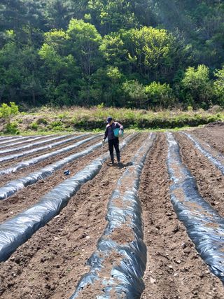 유석범님의 작성글 사진