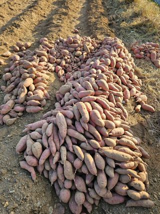 조순귀창원성산구사파님의 자유주제 · 자유게시판 작성글 사진