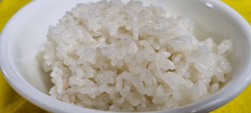 장터 상품 [신동진햅쌀20kg10kg] 썸네일