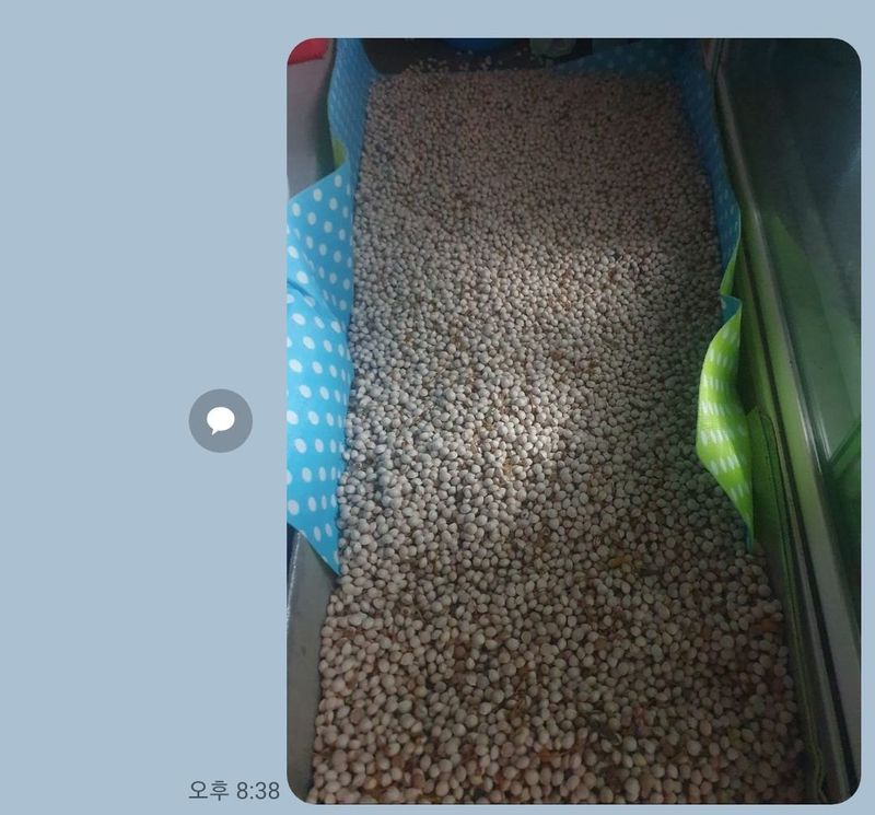 강릉농업귀신님의 장터 판매 상품 [은행] 첨부 사진