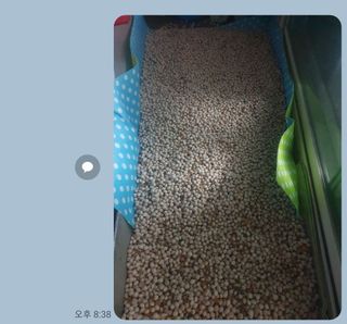 강릉농업귀신님의 작성글 사진