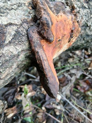 김영숙님의 자유주제 · 자유게시판 작성글 사진