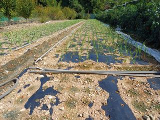 박성민님의 자유주제 · 자유게시판 작성글 사진
