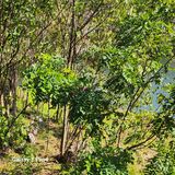 팜모닝 자유주제·사진전 게시글 이미지