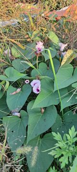 팜모닝 자유주제·자유게시판 게시글 이미지