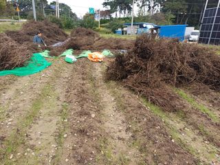 홍순오님의 자유주제 · 자유게시판 작성글 사진