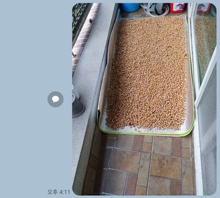 강릉농업귀신님의 작성글 사진