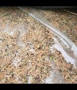 팜모닝 · 게시글 이미지