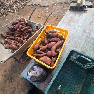 김문규님의 자유주제 · 자유게시판 작성글 사진