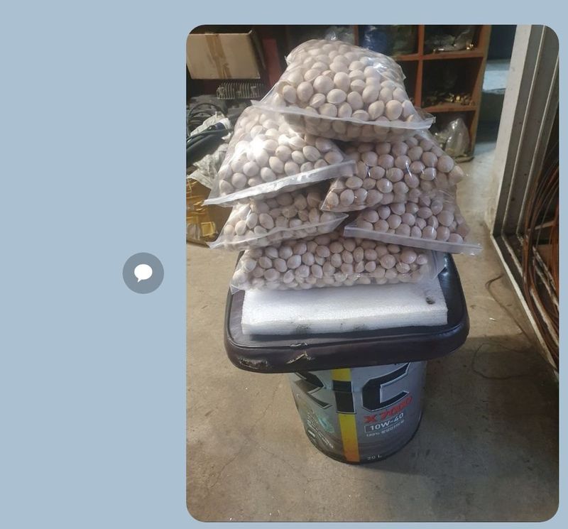 장터 상품 [은행] 썸네일