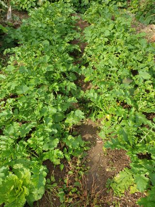 서봉열님의 자유주제 · 자유게시판 작성글 사진