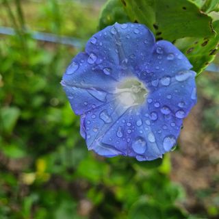 안길원님의 자유주제 · 자유게시판 작성글 사진