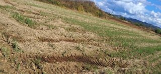 이복길님의 자유주제 · 자유게시판 작성글 사진