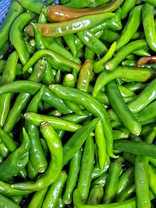 김명옥님의 작성글 사진