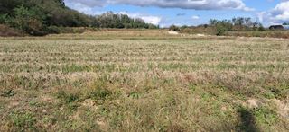 이복길님의 자유주제 · 자유게시판 작성글 사진