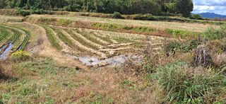 이복길님의 자유주제 · 자유게시판 작성글 사진