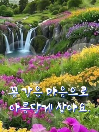 인생은 소풍처럼님의 자유주제 · 자유게시판 작성글 사진