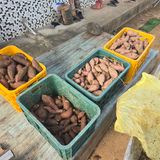 팜모닝 자유주제·자유게시판 게시글 이미지