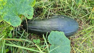 임붕철님의 자유주제 · 자유게시판 작성글 사진