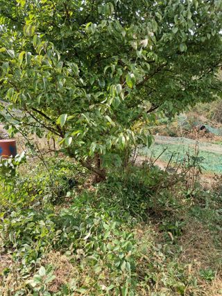 시금치6781님의 자유주제 · 자유게시판 작성글 사진