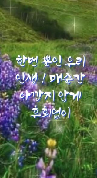 인생은 소풍처럼님의 자유주제 · 자유게시판 작성글 사진