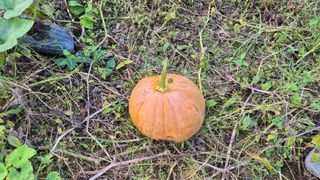 임붕철님의 자유주제 · 자유게시판 작성글 사진