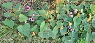 김윤철님의 자유주제 · 자유게시판 작성글 사진