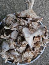 팜모닝 자유주제·자유게시판 게시글 이미지