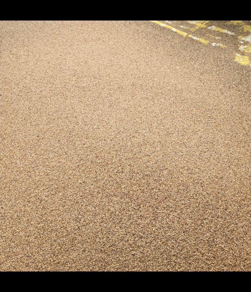 노지잔대재배7년차님의 장터 판매 상품 [잔대씨앗 2025년 햇잔대씨앗(1kg) 예약판매중] 첨부 사진