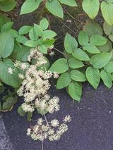 팜모닝 자유주제·자유게시판 게시글 이미지