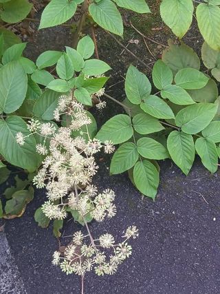 안길원님의 자유주제 · 자유게시판 작성글 사진