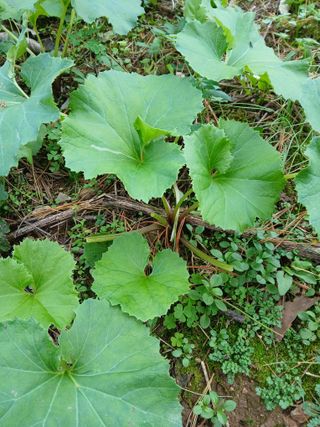 인생은 소풍처럼님의 자유주제 · 자유게시판 작성글 사진