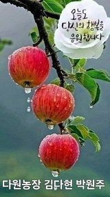 팜모닝 자유주제·자유게시판 게시글 이미지