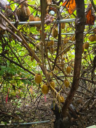 장지영님의 자유주제 · 자유게시판 작성글 사진